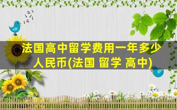 法国高中留学费用一年多少人民币(法国 留学 高中)